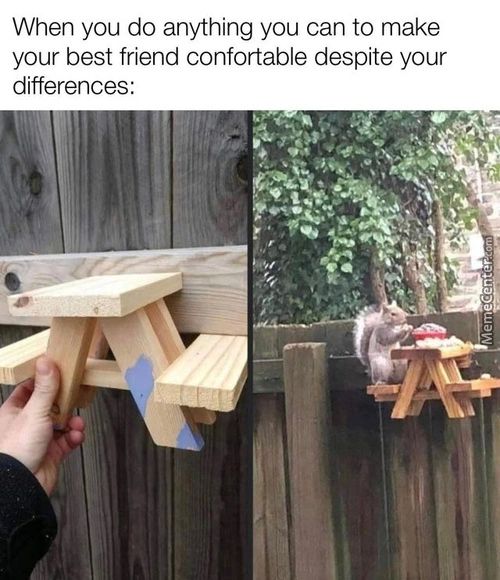 When You Do Anything You Can To Make
Your Best Friend Confortable Despite Your
Differences:
