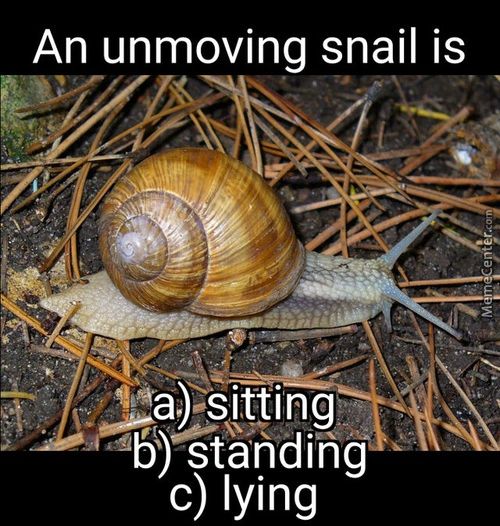 An Unmoving Snail Is
Stahdihg
C) Lying
