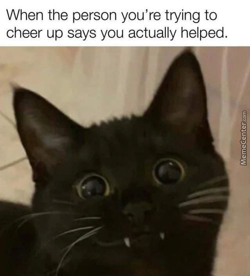 When The Person You're Trying To
Cheer Up Says You Actually Helped.
-4
