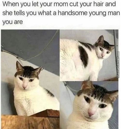 When You Let Your Mom Cut Your Hair And
She Tells You What A Handsome Young Man
You Are
