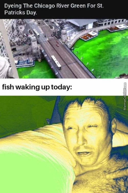 Dyeing The Chicago River Green For St,
Patricks Day.
Fish Waking Up Today:
