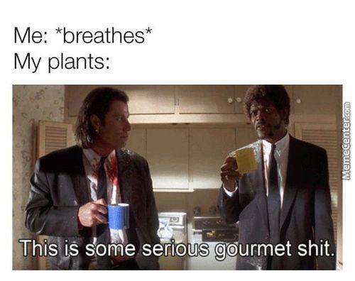 My Plants:
This JS Gome Ser,ious Gourmet Shit.
