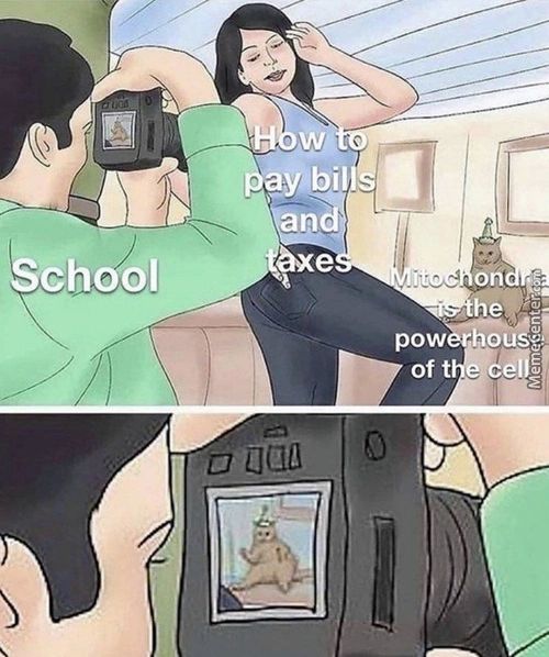 SChoOI,
Oh
He 4
Pow
Of T
