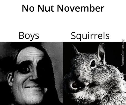 No Nut November
Boys
Squirrels
