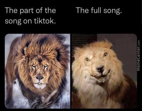 The Part Of The
Song On Tiktok.
The Full Song.
