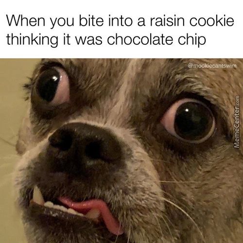 When You Bite Into A Raisin Cookie
Thinking It Was Chocolate Chip
@mookiecantswim
