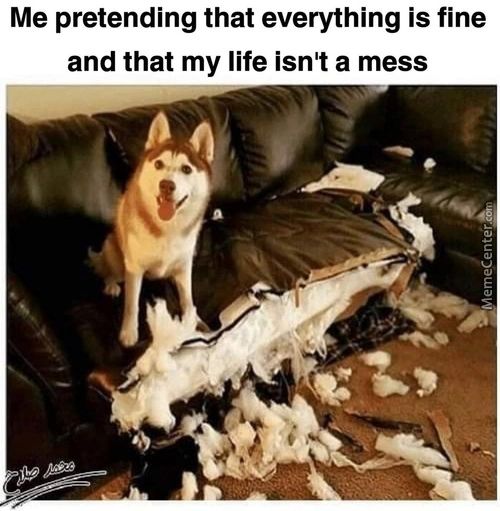 Me Pretending That Everything Is Fine
And That My Life Isn't A Mess
