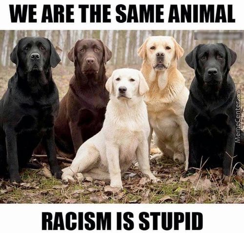 WE ARE THE SAME ANIMAL
RACISM IS STUPID
