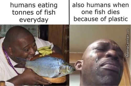 Humans Eating
Tonnes Of Fish
Everyday
Also Humans When
One Fish Dies
Because Of Plastic
