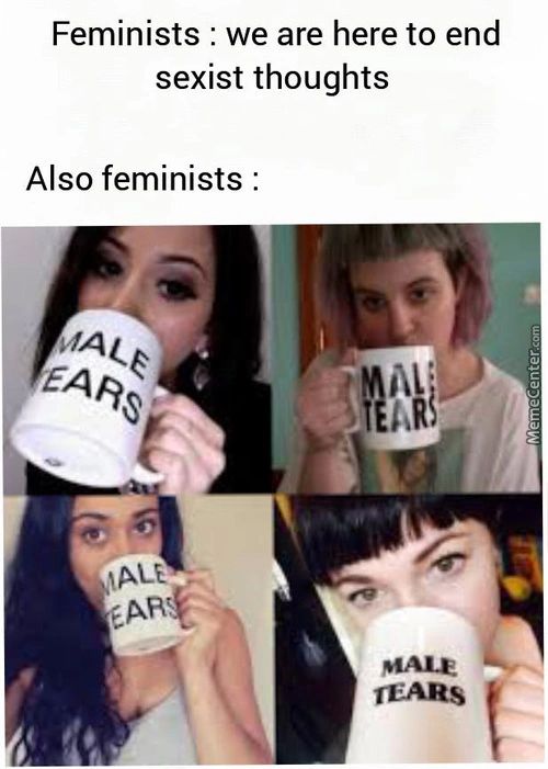 Feminists : We Are Here To End
Sexist Thoughts
Also Feminists :
EA,9s
