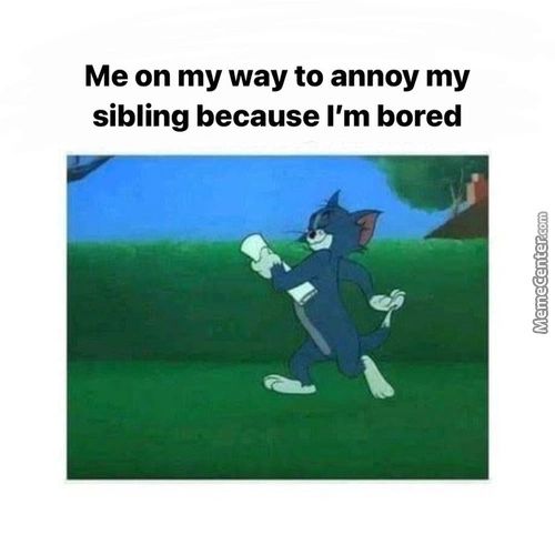 Me On My Way To Annoy My
Sibling Because I'm Bored
