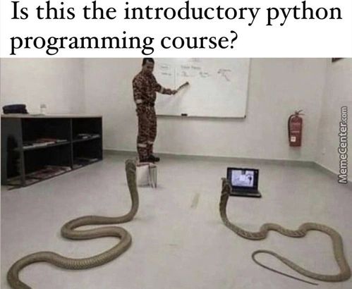 Is This The Introductory Python
Programming Course?
0
.1
