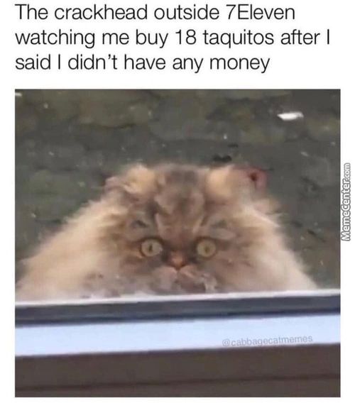 The Crackhead Outside 7Eleven
Watching Me Buy 18 Taquitos After I
Said I Didn't Have Any Money
