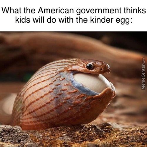 What The American Government Thinks
Kids Will Do With The Kinder Egg:
