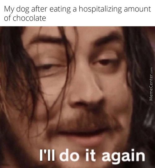 My Dog After Eating A Hospitalizing Amount
Of Chocolate
I'll Do It Again
