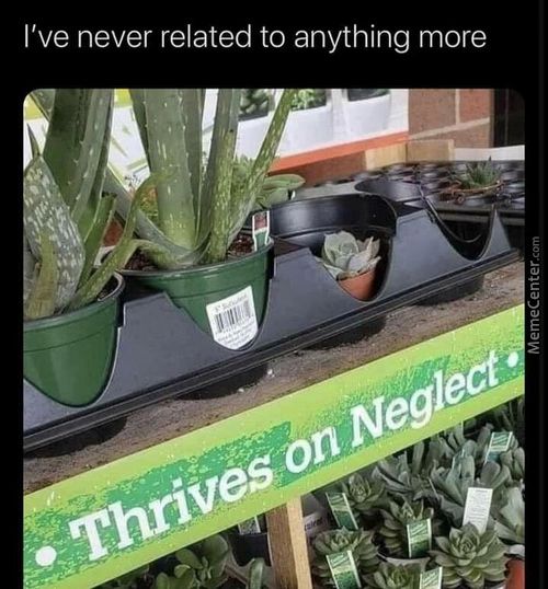 I've Never Related To Anything More
