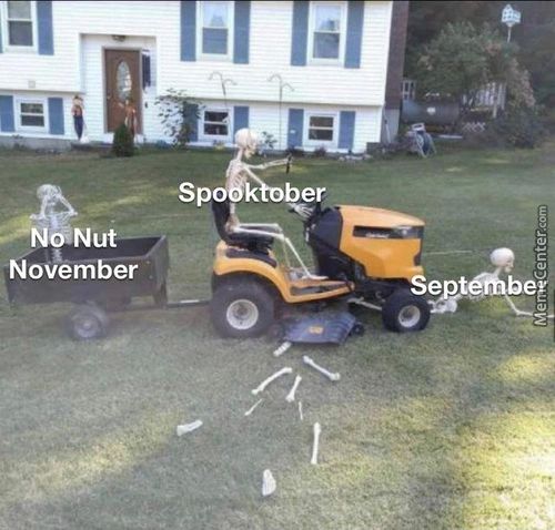 -Sp
&Nut
November
