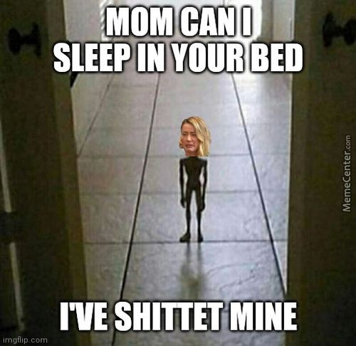 (MOM CAN I
YOUR BED
IVE SHITTET MINE
Lmgflipc•om
