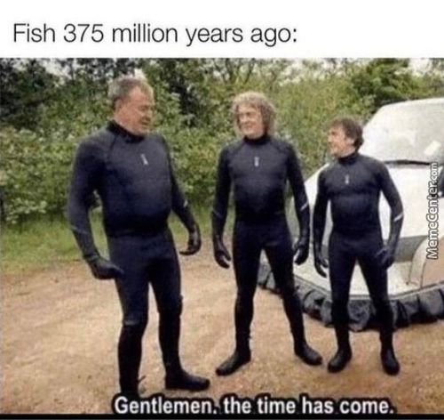 Fish 375 Million Years Ago:
Gentlemen. The Time Has Dome.
