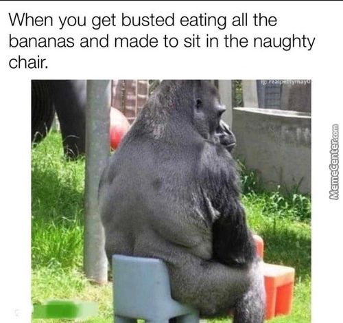 When You Get Busted Eating All The
Bananas And Made To Sit In The Naughty
Chair.
