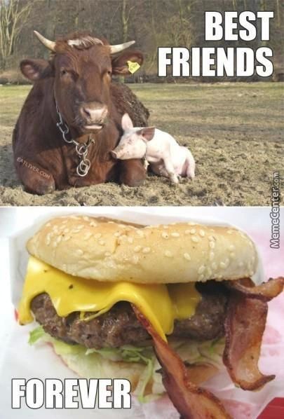 BEST
FRIENDS
