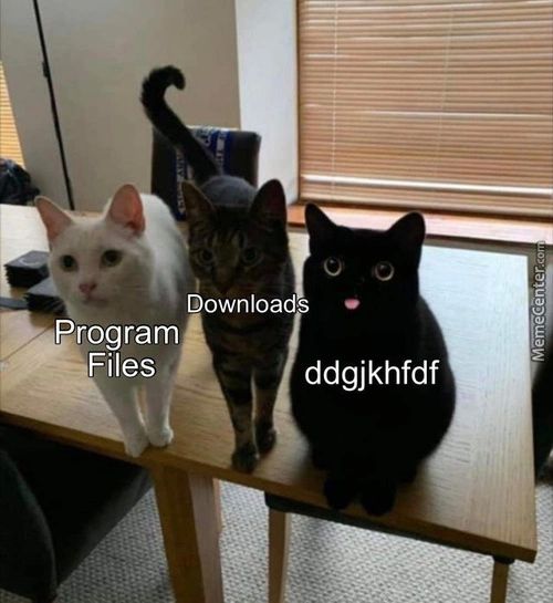 Download
•rogram
Files
Ddgjkhfdf
