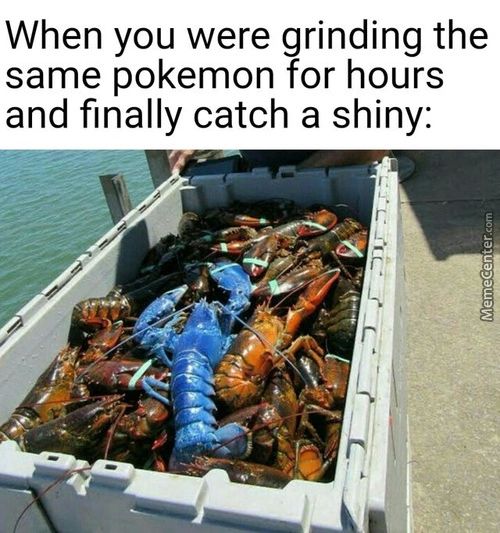 When You Were Grinding The
Same Pokemon For Hours
And Finally Catch A Shiny:
