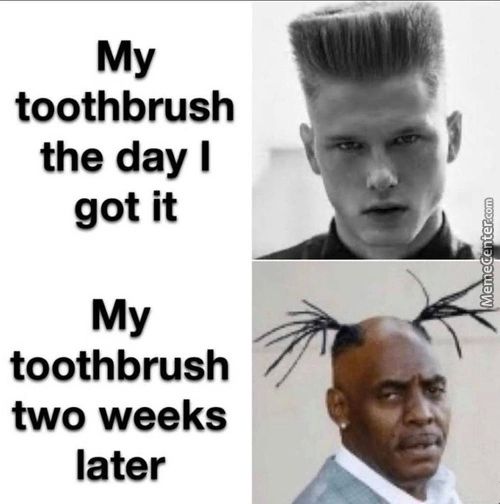 My
Toothbrush
The Day I
Got It
My
Toothbrush
Two Weeks
Later

