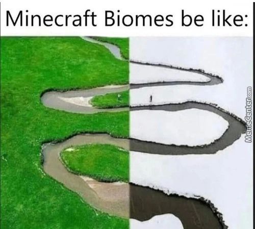 Minecraft Biomes Be Like:
