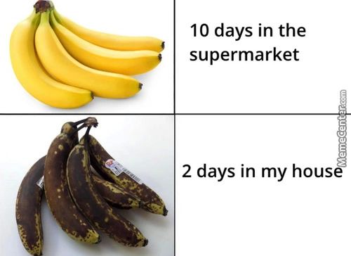 10 Days In The
Supermarket
2 Days In My House
