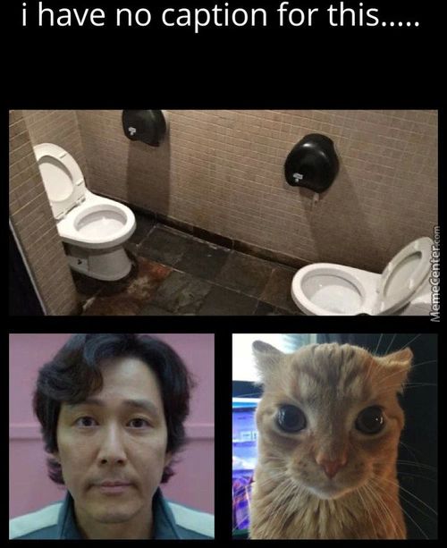 I Have No Caption For This
