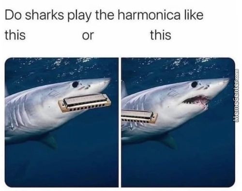 Do Sharks Play The Harmonica Like
This
Or
This

