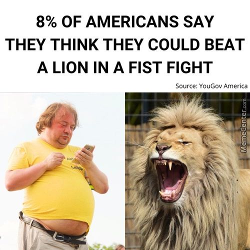 OF AMERICANS SAY
THEY THINK THEY COULD BEAT
A LION IN A FIST FIGHT
Source: YouGOV America
