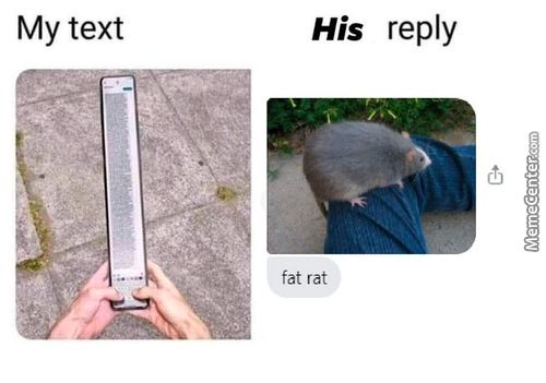 My Text
His Reply
Fat Rat
