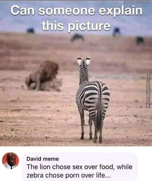 Can Someone Explain
This Picture
David Meme
The Lion Chose Sex Over Food, While
Zebra Chose Porn Over Life...
