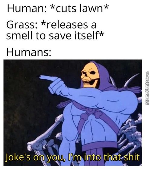 Human: *cuts Lawn*
Grass: *releases A
Smell To Save Itself*
Humans:
