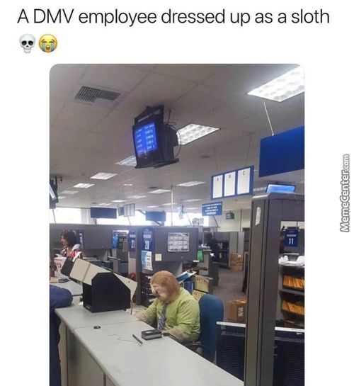 A DMV Employee Dressed Up As A Sloth
