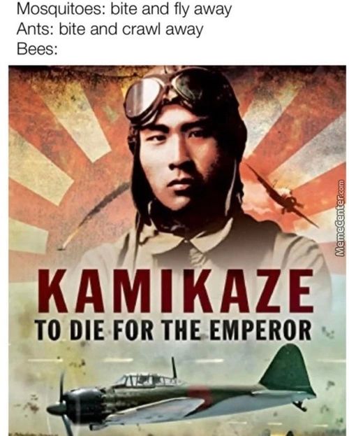 Mosquitoes: Bite And Fly Away
Ants: Bite And Crawl Away
Bees:
KAMIKAZE
TO DIE FOR THE EMPEROR
