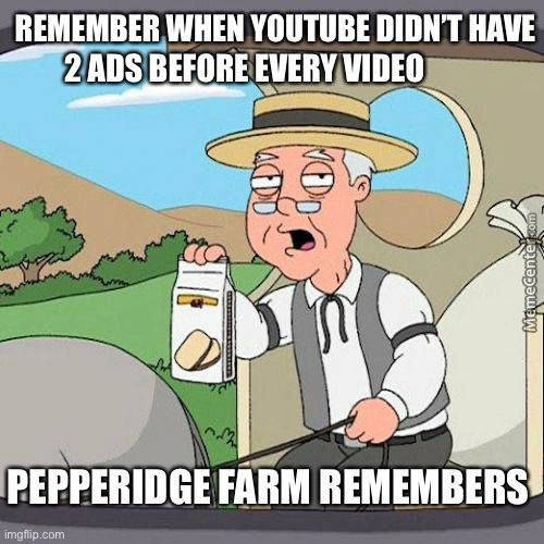 REMEMBER WHEN YOUTUBE DIDN'T HAVE
2 ADS BEFORE EVERY VIDEO
PEPPERIDGE FARM REMEMBERS
