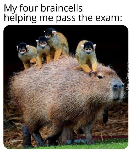 My Four Braincells
Helping Me Pass The Exam:
