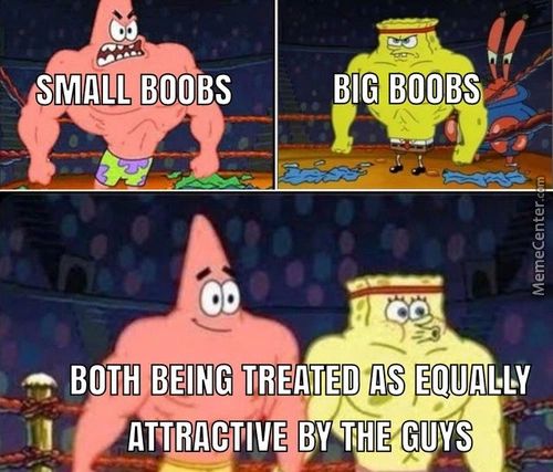 SMALL BOOBS
BIG BOOBS
BOTH BEING TREATED AS
ATTRACTIVE THE GUfs
