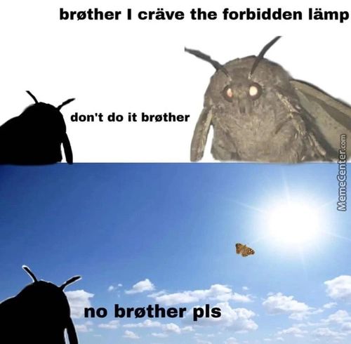 Brøther I Cräve The Forbidden Iämp
Don't Do It Brøther
No Brøther Pls
