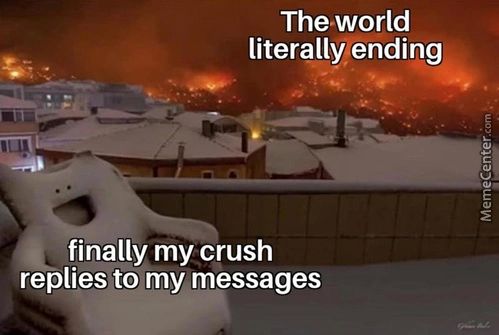 The World
Literallyending
Finally My Crush
Replies To My Messages
