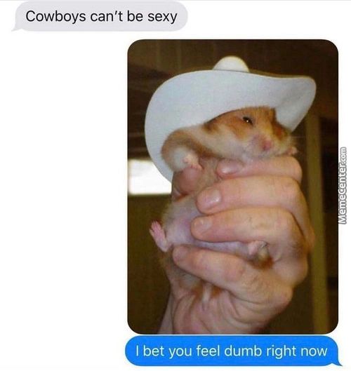 Cowboys Can't Be Sexy
I Bet You Feel Dumb Right Now
