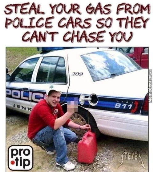 STEAL YOUR EAs FROM
Pot-Ice CARS SO THEY
CANT CHASE
•ot.--le
Pro
•tip
