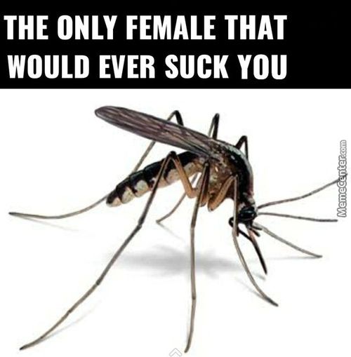 THE ONLY FEMALE THAT
WOULD EVER SUCK YOU
