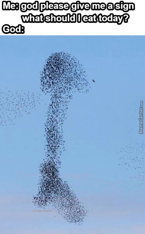 Me: God Please Give Me A Sign
Whatshould I Eat Today?
God:
