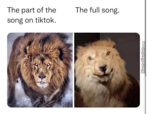 The Part Of The
The Full Song.
Song On Tiktok.
