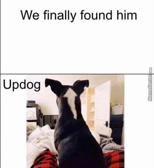 We Finally Found Him
Updog
