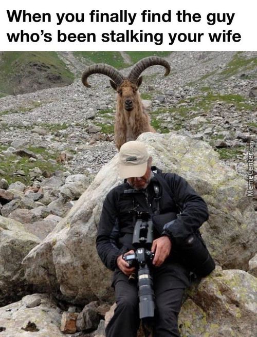 When You Finally Find The Guy
Who's Been Stalking Your Wife
